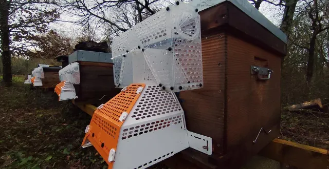 photo  l’association bonn’actions et les apiculteurs de loisir de bonnétable mobilisés.  &copy;  le maine libre 