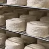 photo 500 millions de boîtes de camembert sont vendues par en an en france. photo d’illustration.