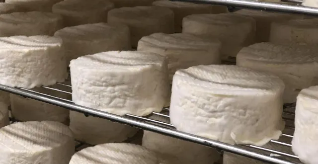 photo  500 millions de boîtes de camembert sont vendues par en an en france. photo d’illustration.  &copy;  archives ouest-france 