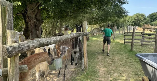 photo  le parc animalier d’écouves, situé au bouillon dans l’orne, a fixé sa date de réouverture au 14 février 2026.  &copy;  archives ouest-france 