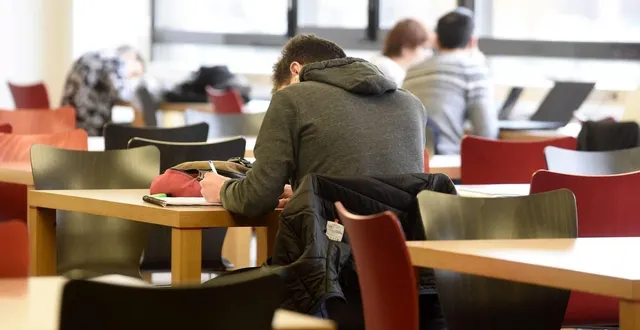 photo  s’implanter à niort n’est pas chose aisée pour toutes les écoles et universités.  &copy;  co - illustration marie delage 