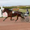 photo l’hippodrome du pays d’argentan accueille huit courses de trot, ce vendredi.
