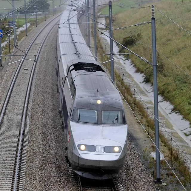 photo un arbre touchant une caténaire aurait entraîné une panne électrique.  ©  archives ml - yvon loue