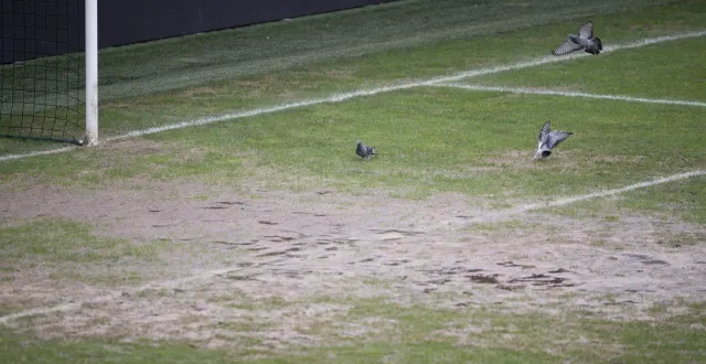 photo  le district de la sarthe a décidé de reporter les rencontres du week-end en raison des conditions météorologiques.  &copy;  archives ouest-france 