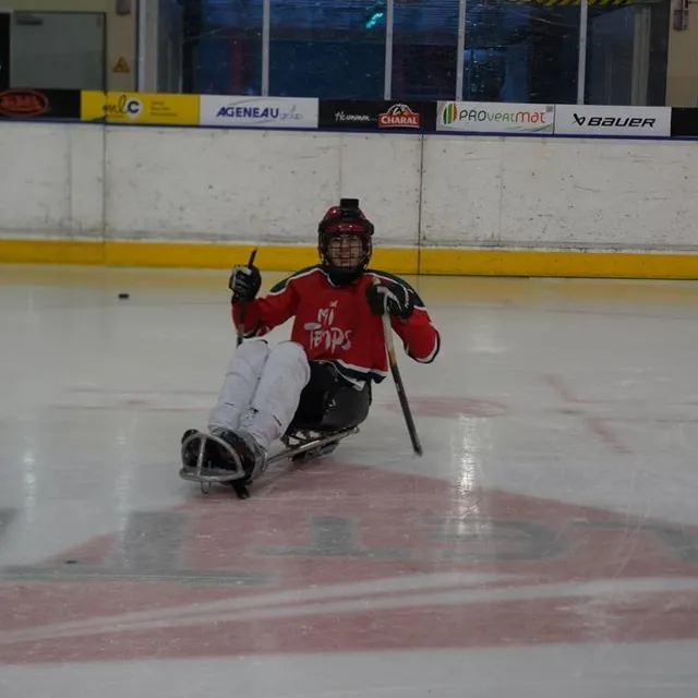 photo mattéo est en tenue complète pour suivre cet entraînement des para-dogs de cholet !  ©  ouest-france