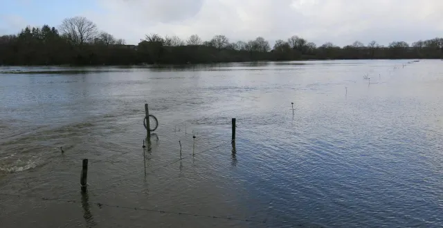 photo  les prés voisins de la sèvre nantaise se retrouvent sous l’eau, vendredi 6 février.  &copy;  co – nadège desquiens 