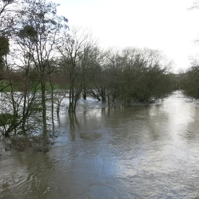 photo la sèvre nantaise est un peu sortie de son lit, vendredi 6 février.  ©  co – nadège desquiens