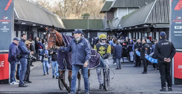 photo  inmarosa a fini seulement 13e du prix d’amérique après des courses qualificatives qui avaient laissé espérer un autre résultat.  &copy;  bruno vandevelde - le trot 