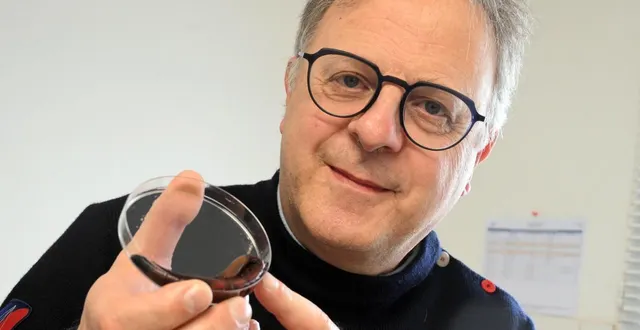 photo  les pansements oxygénant développés par la société bretonne hermarina, fondé par franck zal, grâce à de l’hémoglobine de vers marins ne sont pas autorisés à la commercialisation en france.  &copy;  jérôme fouquet/ ouest-france 