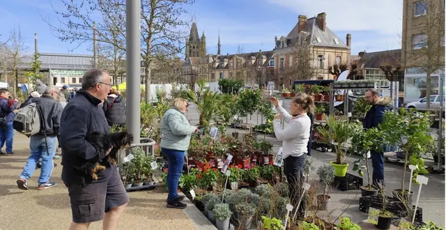 photo  la foire aux arbres se déroulera du 28 février au 1er mars, à l’aigle.  &copy;  ouest-france 