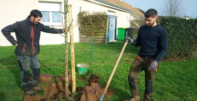 photo  les paysagistes à l’œuvre.  &copy;  le maine libre 