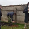 photo  les familles ont planté un arbre par enfant né en 2025. 