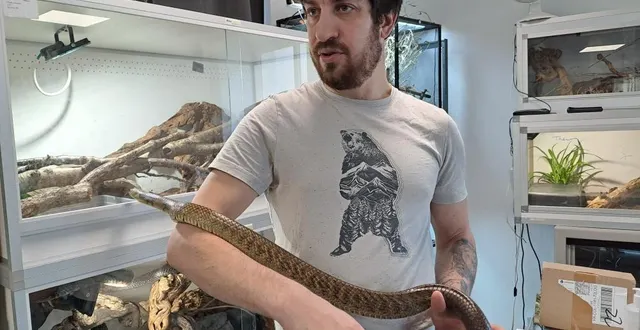 photo  pierre leneuf, éleveur de reptiles à loué.  &copy;  le maine libre 