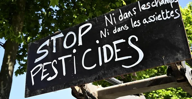 photo  une manifestation contre la loi duplomb, à rennes (ille-et-vilaine), le 19 juin 2025.  &copy;  marc ollivier/archives ouest-france 