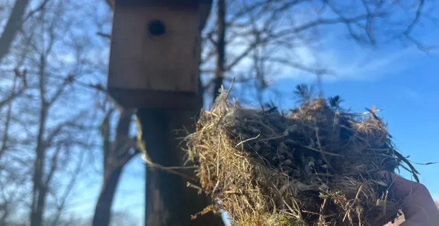 photo  les nichoirs du parc du château ont été nettoyés ce mercredi 28 janvier 2026.  &copy;  le maine libre 