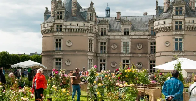 photo  mélange de style anglais et français, les jardins du château accueillent chaque année la fête des jardiniers.  &copy;  stevan lira 