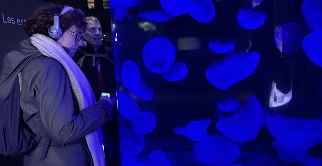 photo  muriel et gérard étaient déjà venus à cherbourg mais jamais à la cité de la mer. fascinés par le cylindre à méduses, les calvadosiens filent la métaphore de la danse.  &copy;  ouest-france 