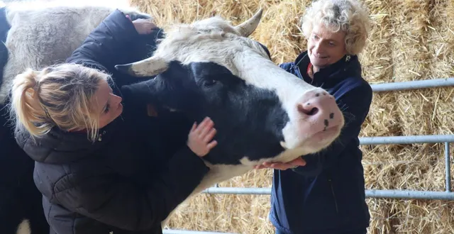 photo  stéphanie lisicki (à gauche) en train de caresser petit bouchon.  &copy;  ouest-france 