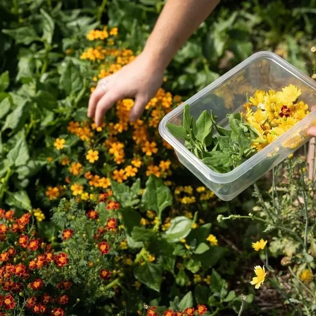 photo eva boisteault est productrice de fleurs comestibles.  ©  emma cadith photographe