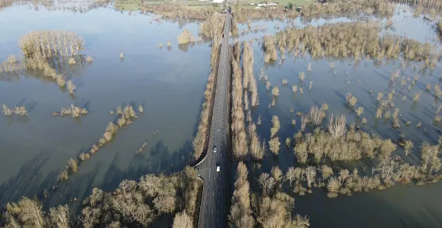 photo  une route – la départementale 109, à hauteur de briollay, près d’angers – comme coupée du monde, entourée par la végétation et l’eau de la sarthe, en crue.  &copy;  thierry huguenin 
