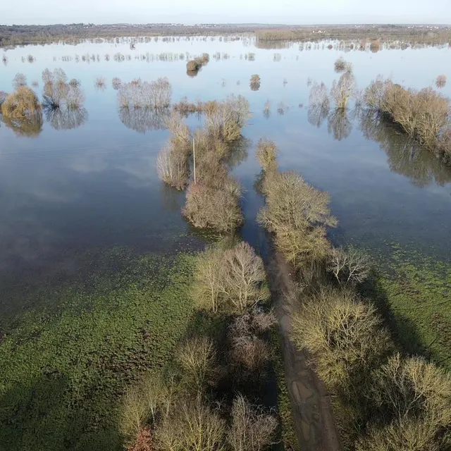 photo la montée des eaux fait naître des images saisissantes, comme ce chemin, sur le secteur d’écouflant, qui disparaît sous l’onde, comme la nature qui l’environne.  ©  thierry huguenin/ouest-france