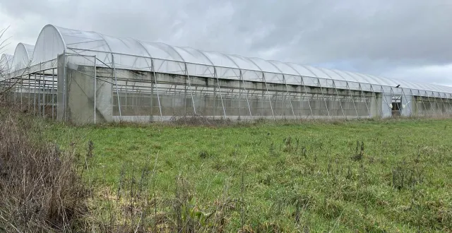 photo  les serres de la futaie, à rouillon aux portes du mans, sont à l’abandon depuis quelques mois.  &copy;  ouest-france 
