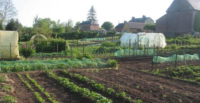 photo  des parcelles bien entretenues.  &copy;  ouest-france 