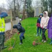 photo  jeudi 5 février, la pluie n’a pas freiné l’ardeur d’une vingtaine d’élèves de cm1 de l’école publique saint exupéry, pour planter 70 arbres et arbustes d’essences locales. 