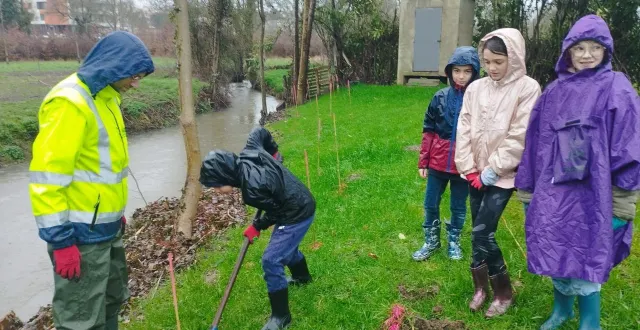 photo  jeudi 5 février, la pluie n’a pas freiné l’ardeur d’une vingtaine d’élèves de cm1 de l’école publique saint exupéry, pour planter 70 arbres et arbustes d’essences locales.  &copy;  ouest-france 