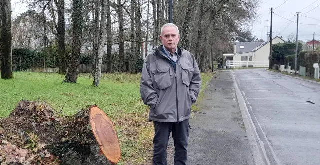 photo  gilles bodinier devant la souche de l’arbre qui s’est abattu dans sa rue.  &copy;  ouest-france 