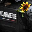 photo  le chat a été accueilli par les gendarmes de durtal. 