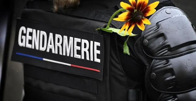 photo  le chat a été accueilli par les gendarmes de durtal.  &copy;  marc ollivier/ouest-france 
