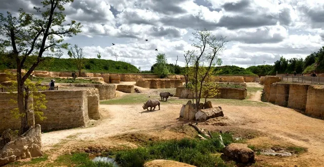 photo  la fréquentation du bioparc était en hausse en 2025.  &copy;  bioparc de doué-en-anjou 