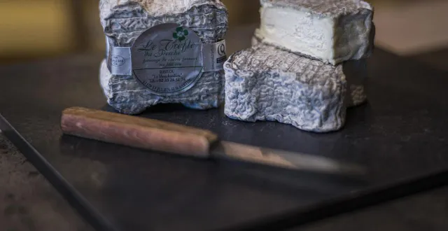 photo  le trèfle du perche semble en bonne voie pour obtenir son igp, pour le plus grand bonheur de ceux qui le produisent, et se battent depuis des années pour la reconnaissance de la qualité de leur travail.  &copy;  archives le maine libre - denis lambert 