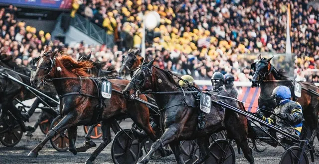 photo  le vainqueur du prix d’amérique 2026, hokkaïdo jiel (n°13), sera l’invité de marque du 11e salon du trot, vendredi 13 février 2026, au pôle hippique de saint-lô (manche)  &copy;  justin picaud / ouest-france 