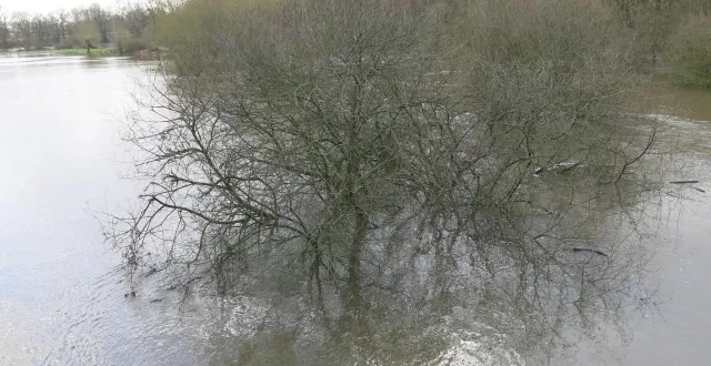 photo  une image captée le 6 février qui illustre la montée de la sèvre nantaise, ces derniers jours.  &copy;  co - nadège desquiens 