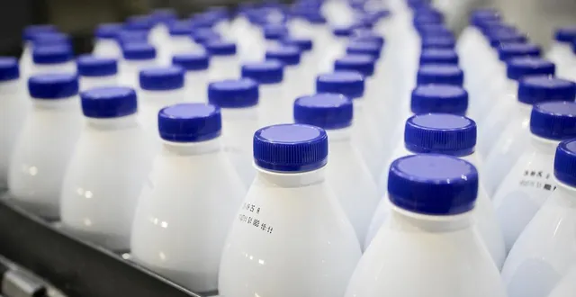 photo  en maine-et-loire, euralis a fixé ses prix à 415 € pour 1 000 litres.  &copy;  vincent michel / ouest-france 