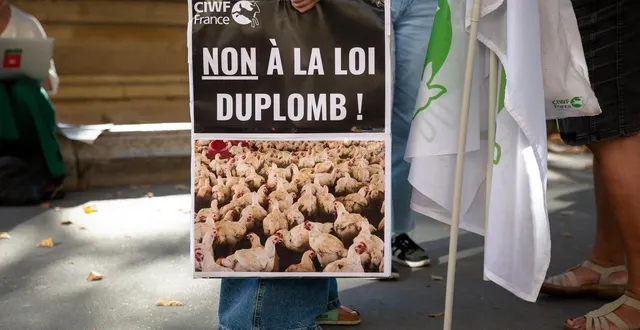 photo  la loi duplomb avait mobilisé les français, l’été dernier. un nouveau rassemblement est prévu à partir de 12h30 ce mercredi, à l’appel de plus de 200 organisations.  &copy;  hans lucas via afp 