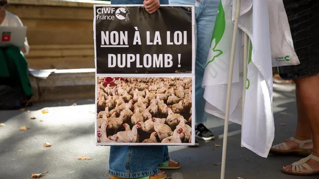 photo info loi Duplomb : six mois après la pétition, un débat inédit et sous tension à l’Assemblée 