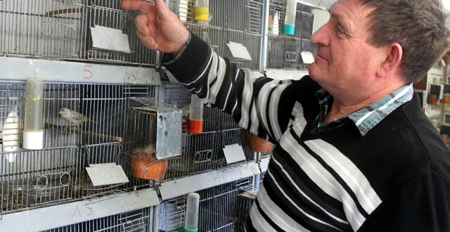 photo  conseils assurés par des éleveurs passionnés sur place.  &copy;  le maine libre 