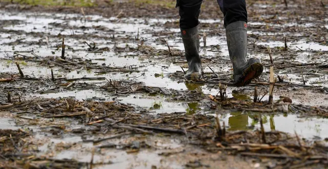 photo  les sols sont gorgés d’eau en raison des précipitations des derniers jours.  &copy;  archives co - josselin clair 