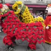 photo défilés et animations à angers pour le nouvel an chinois organisé par l’institut confucius et des associations culturelles, samedi 14 février.