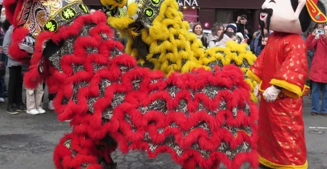 photo  défilés et animations à angers pour le nouvel an chinois organisé par l’institut confucius et des associations culturelles, samedi 14 février.  &copy;  co 