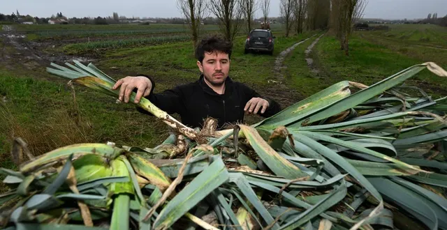 photo  kevin masse, à la tête d’une exploitation de 80 hectares à mazé-beaufort, enregistre une belle production de poireaux, mais qui ne s’écoule pas, faute de demande suffisante. pour lui, ce phénomène concerne aussi les autres légumes d’hiver.  &copy;  co – josselin clair 