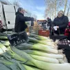 photo  les légumes vendus au marché, du producteur au consommateur, ne souffrent pas de véritable surproduction. 
