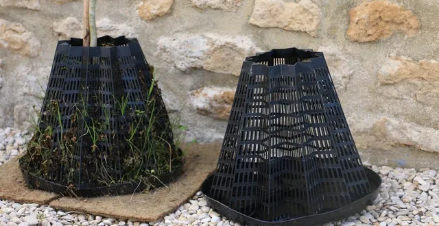 photo  ces starpots possèdent un fond guide-racines, modulable et drainant ainsi qu’une forme dite en étoile, à paroi ajourée.  &copy;  david fouillé 