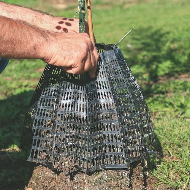 photo le starpot présente un « sens inversé » par rapport aux conteneurs classiques, mais logique par rapport à la croissance des racines.  ©  david fouillé