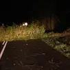 photo  des arbres sont tombés sur les routes de l’orne à cause de la tempête nils, entre mercredi 11 février et jeudi 12 février 2026. 