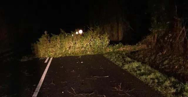 photo  des arbres sont tombés sur les routes de l’orne à cause de la tempête nils, entre mercredi 11 février et jeudi 12 février 2026.  &copy;  cd61 
