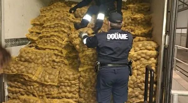 photo  les douaniers cherbourgeois ont eu du flair : ils ont investigué derrière des sacs de pommes de terre pour découvrir le 4 février 2026, 8,4 tonnes de cigarettes de contrebande dans un poids lourd en provenance des pays-bas.  &copy;  douanes françaises 